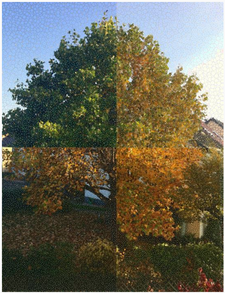 Ästhetikprojekt des Kunstleistungskurses Q4