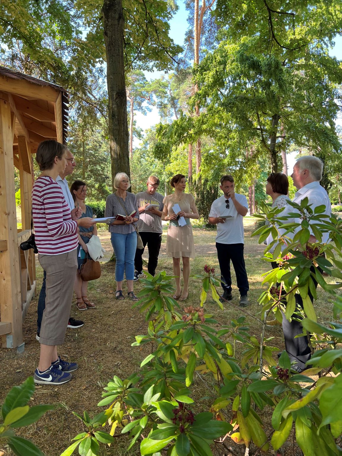 Umsetzung des Projekts