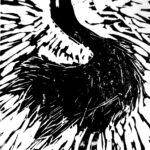 WhatsApp Image 2026-01-26 at 21.17.43 (1)